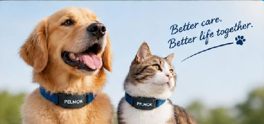 Woman and golden retriever outdoors, dog wearing the PELMOK Flea & Tick Collar